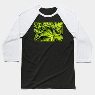 Spiky leaves Baseball T-Shirt